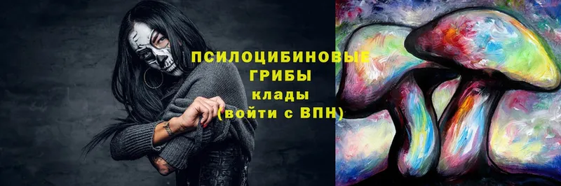 blacksprut tor  Саранск  Псилоцибиновые грибы ЛСД  как найти  